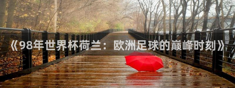 世界杯今年:《98年世界杯荷兰:欧洲足球的巅峰时刻》