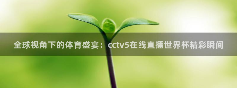 足球世界杯赛程:全球视角下的体育盛宴:cctv5在线直播世界杯精彩瞬间