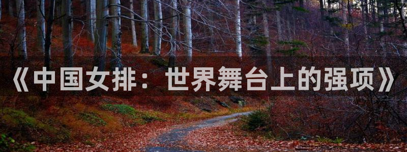 足球世界杯2026年赛程时间表：《中国女排：世界舞台上的强项》