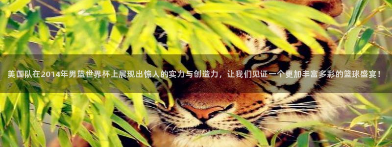 世界杯欧洲预选赛赛程：美国队在2014年男篮世界杯上展现出惊人的实力与创造力，让我们见证一个更加丰富多彩的篮球盛宴！