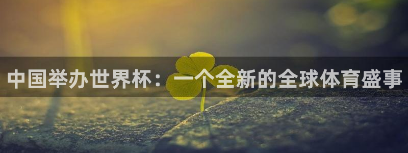 2026年男足世界杯：中国举办世界杯：一个全新的全球体育盛事