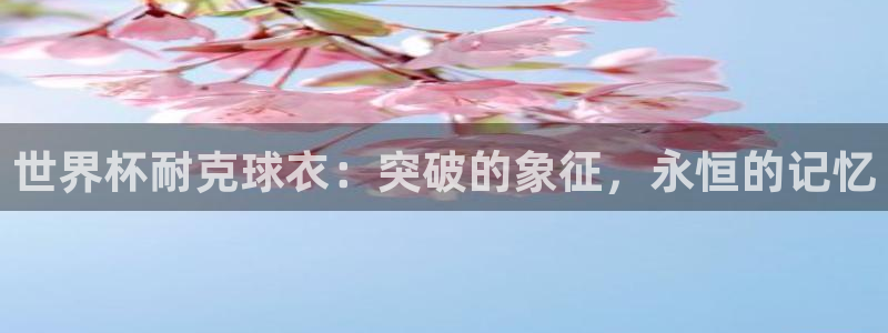 2026世界杯买球：世界杯耐克球衣：突破的象征，永恒的记忆
