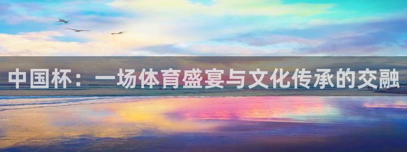 世界杯足球赛2026赛程时间：中国杯：一场体育盛宴与文化传承的交融