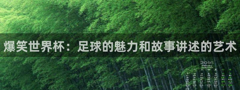 2026世界杯：爆笑世界杯：足球的魅力和故事讲述的艺术