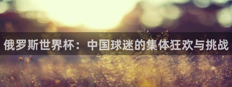 世界直播：俄罗斯世界杯：中国球迷的集体狂欢与挑战